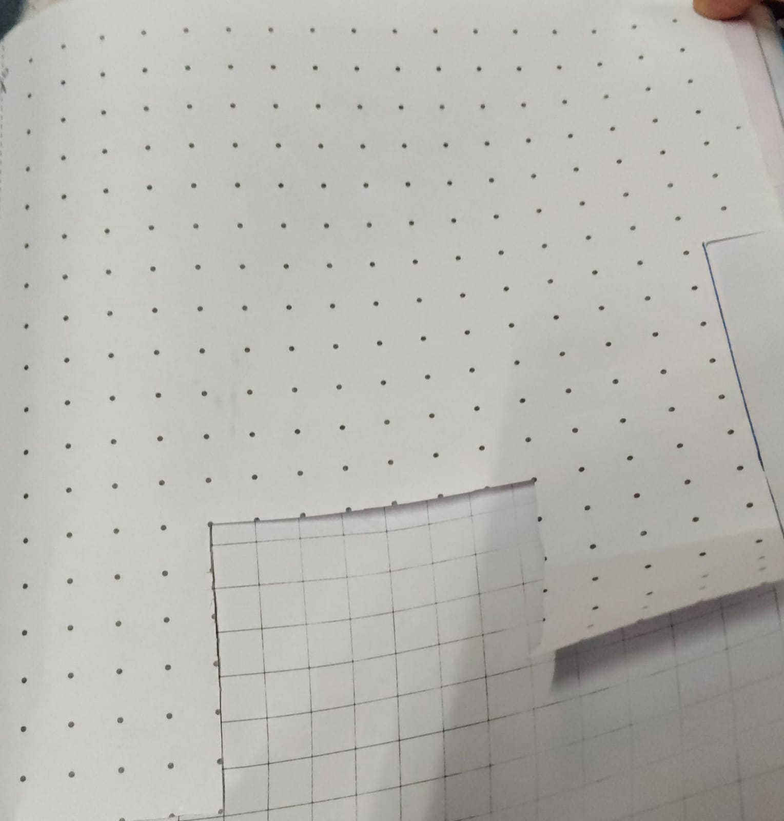 WhatsApp Image 2026-01-06 at 5.21.03 PM