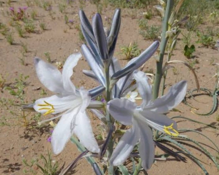 WhatsApp Image 2025-04-21 at 7.27.18 PM